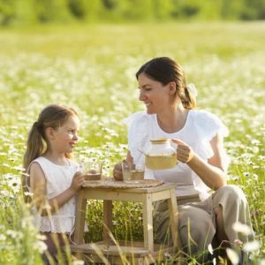 4 Jahreszeiten Frühlings-Tee – Dein Neustart für Körper und Geist